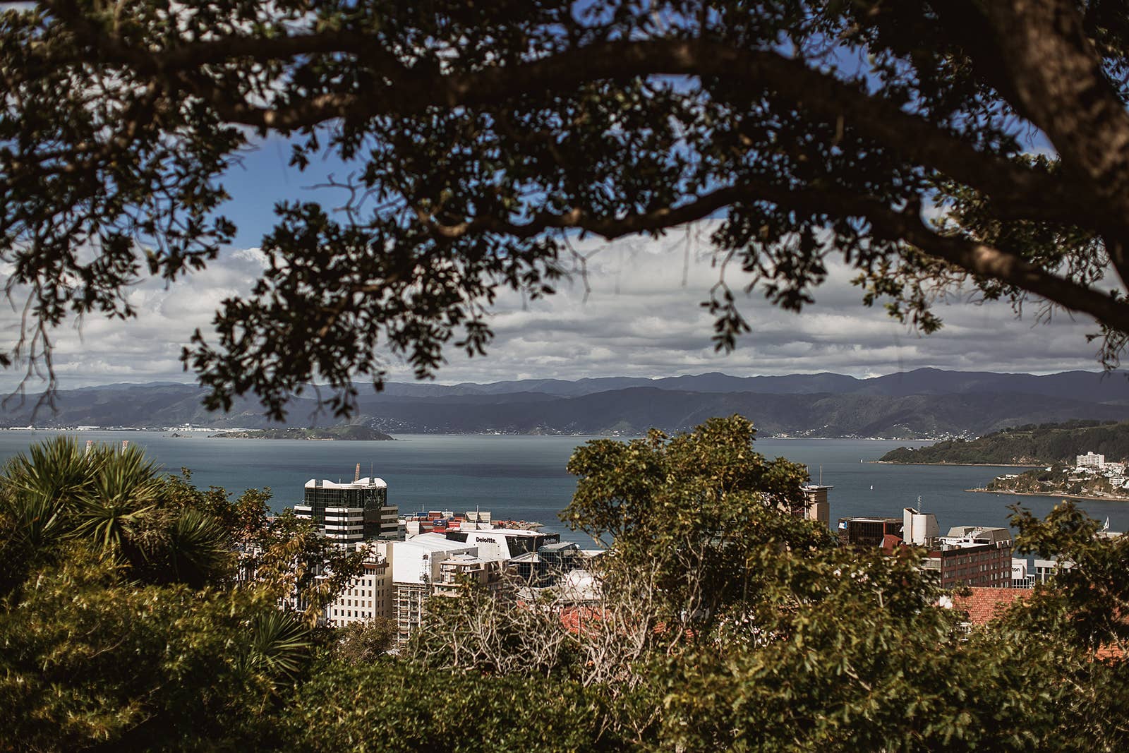 Abel Burners - Wholesale Fragrance Oil - Wellington 30ml Fragrance Oil - Pears, English Wildflowers1