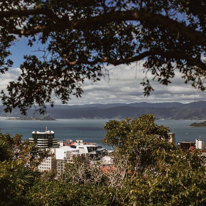 Abel Burners - Wholesale Fragrance Oil - Wellington 30ml Fragrance Oil - Pears, English Wildflowers1