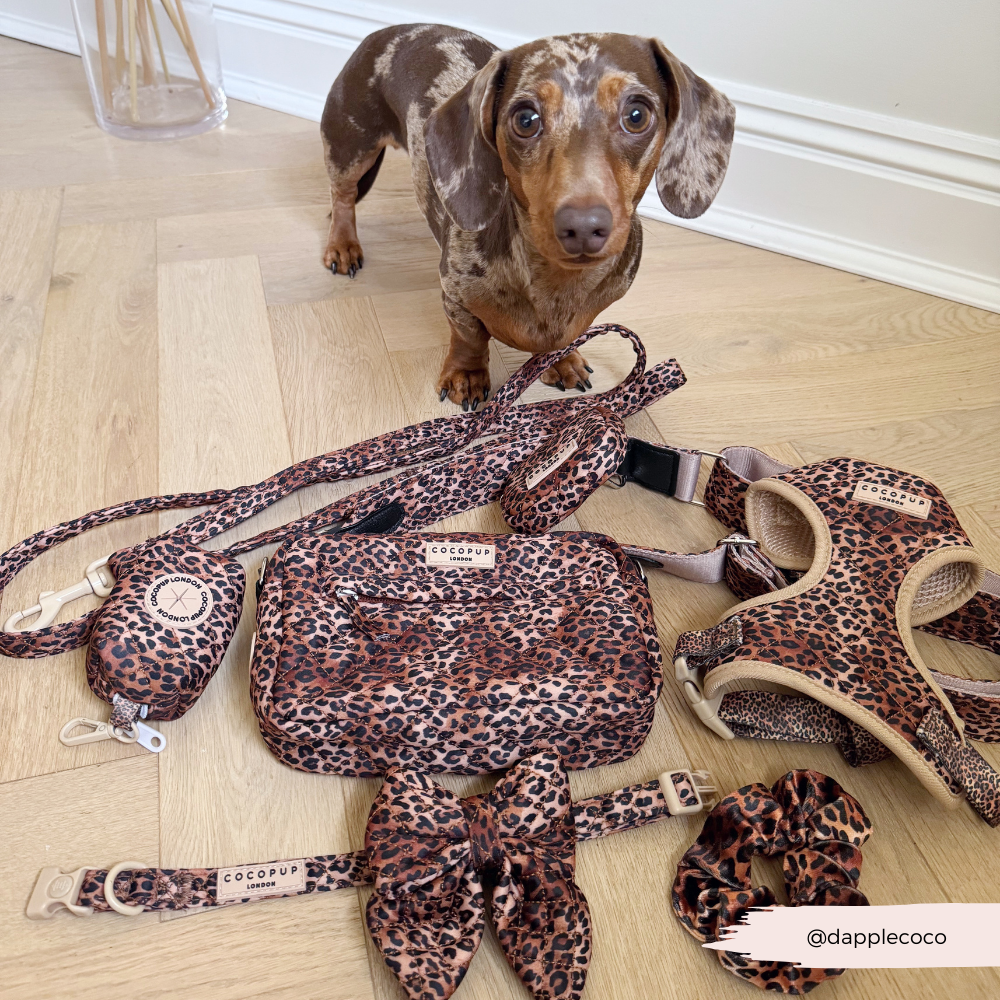 Cocopup London - Vente Sac à friandises – chien - Sac de promenade pour chien à motif léopard matelassé6