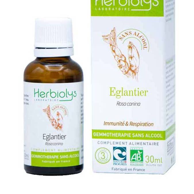 Eglantier Gemmothérapie Sans Alcool pour la vente par Herbiolys