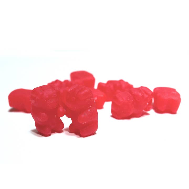 Roberts Ferry Gourmet - Wholesale Gummy - Cinnamon Bears5