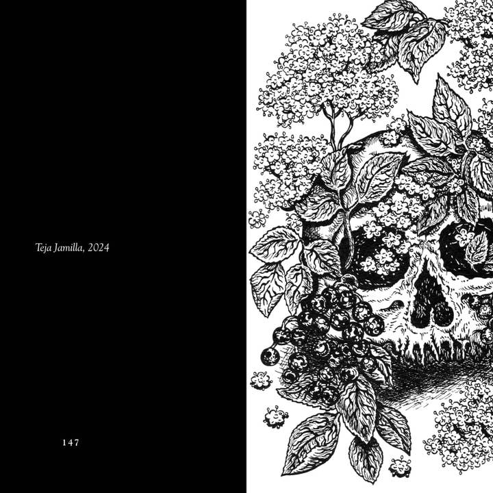 Hyldyr - Wholesale Nature & Outdoors - Lady Elder Tree: Northern Animism and Witchcraft8