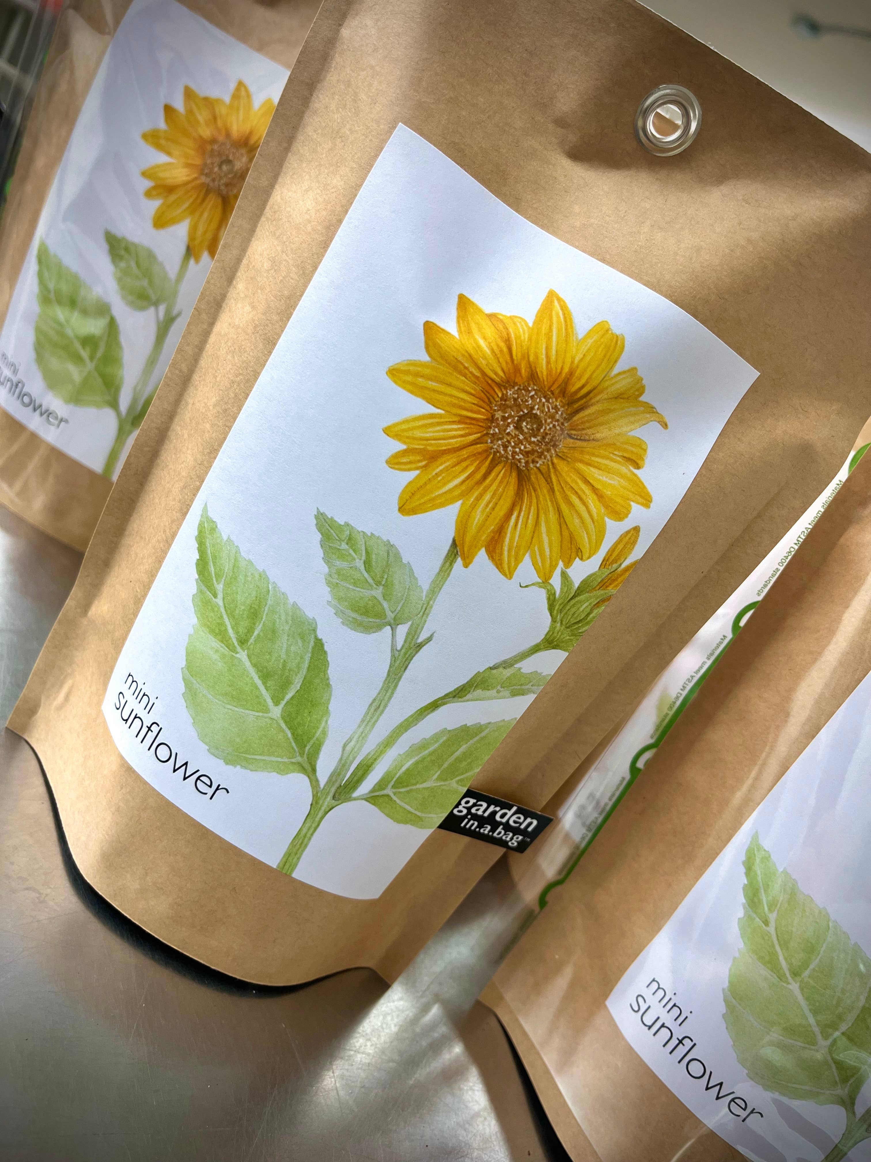 Potting Shed Creations, Ltd. - Wholesale Plant Seeds - Garden in a Bag | Sunflower | Flower lover | Best Seller4