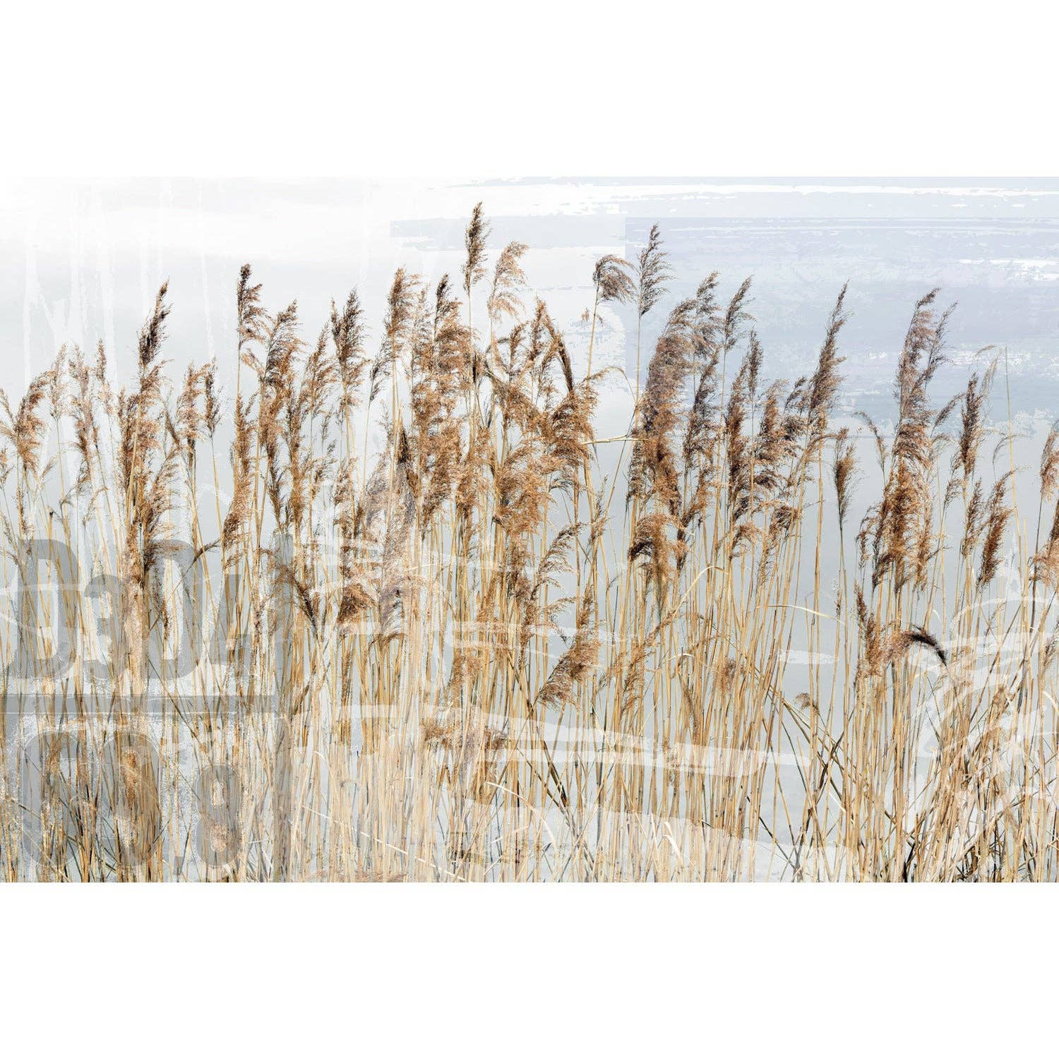 Queence - Wholesale Art Print - Wall picture - Alma0