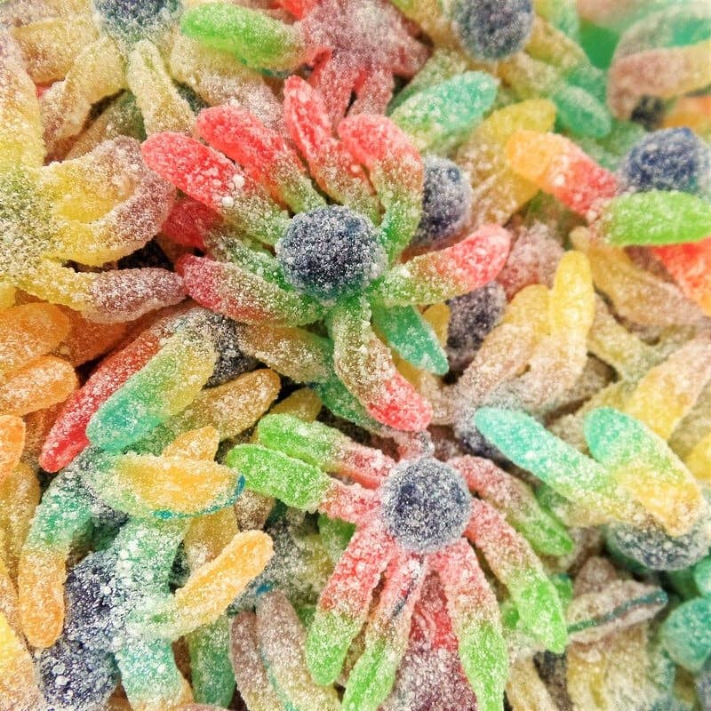 123bonbon - Wholesale Gummy - FINI Acidulated Octopus 90g2