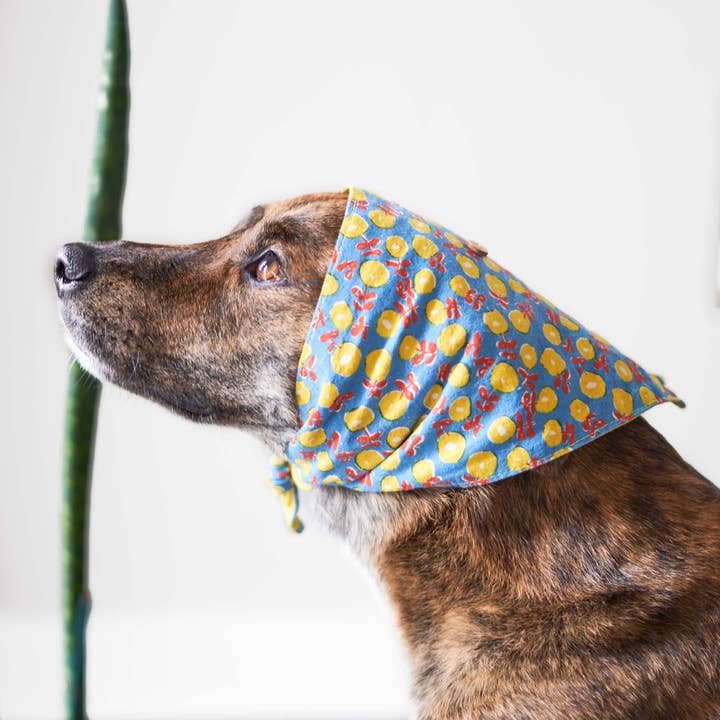 the furryfolks - Wholesale Pet Bandana - Dog - Japanese Cotton-Linen Dog Bandana, South Korea Made