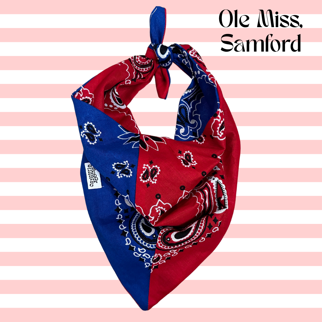 Sugar Cilantro - Wholesale Bandana - Women's - Handmade Custom Colorblocked Gameday Bandana15