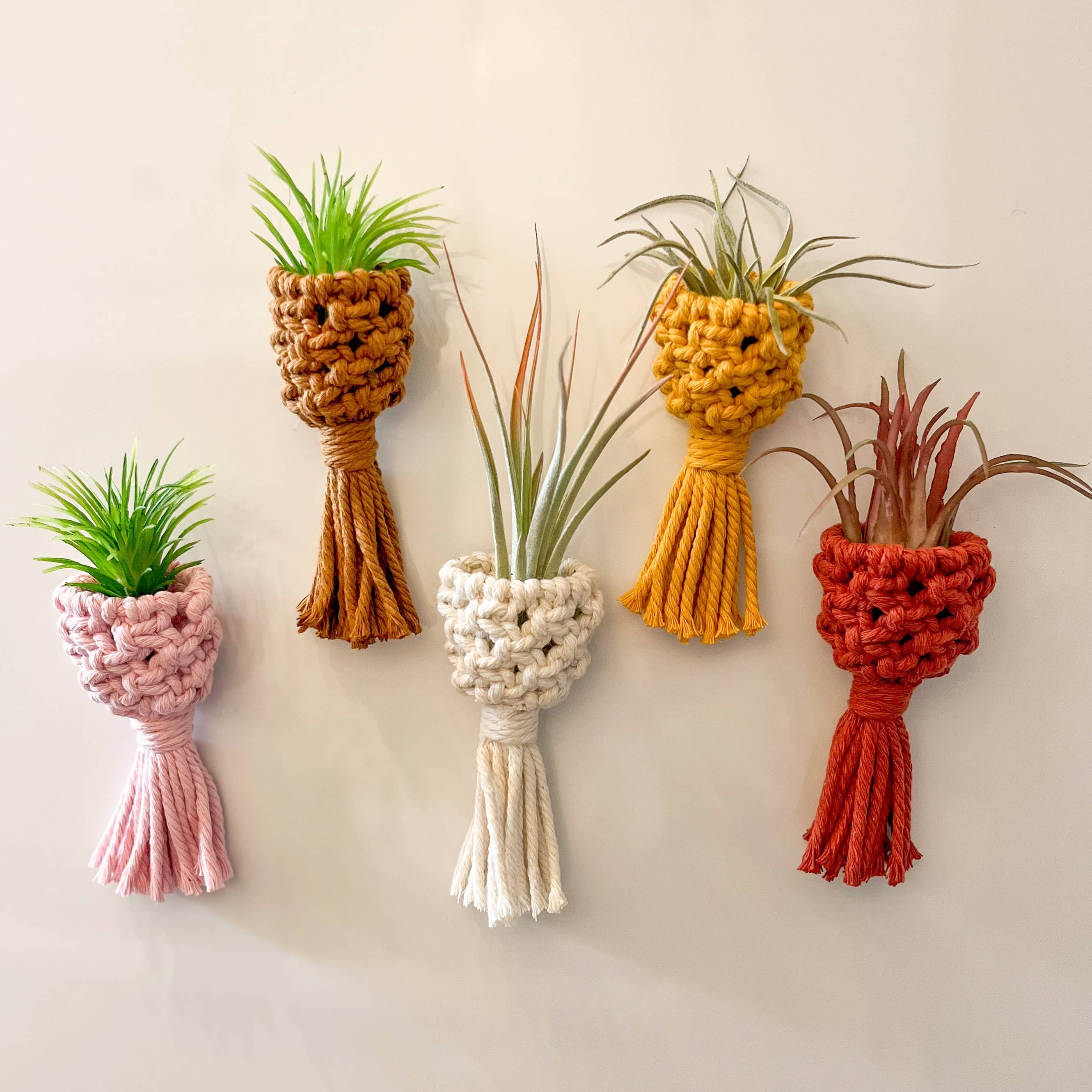 Nashville Macrame - Wholesale Hanging Planter - Macrame Air Plant Holders 0