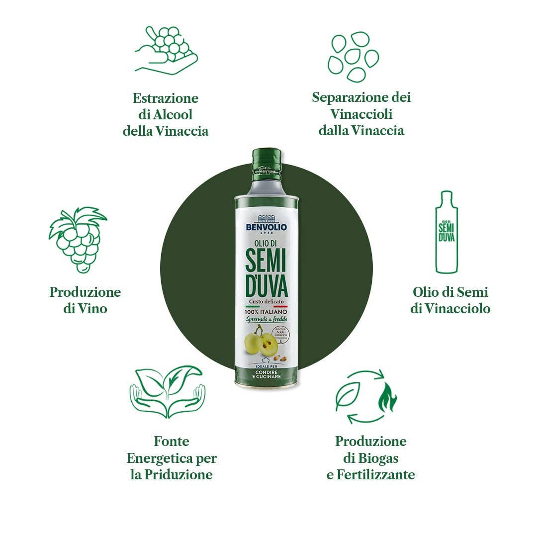 BENVOLIO.BIO by Wizebite S.r.l. SB – wholesale Matolja – BENVOLIO 100% Italiensk Kallpressad Druvkärnolja6