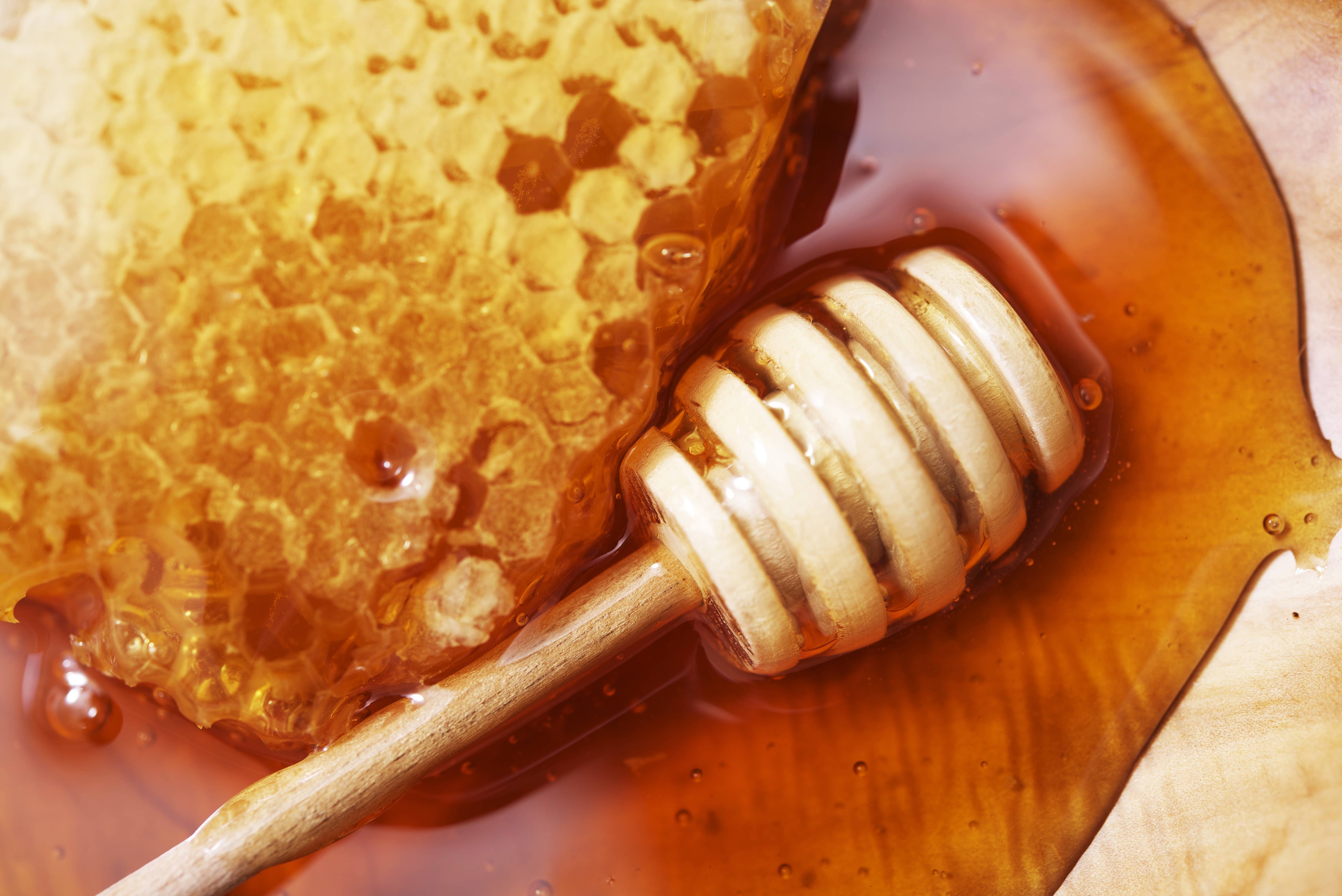 Sohnrey Family Foods LLC - Vente Miel - Raw Honey Straw Singles - Cinq variétés de miel au choix2