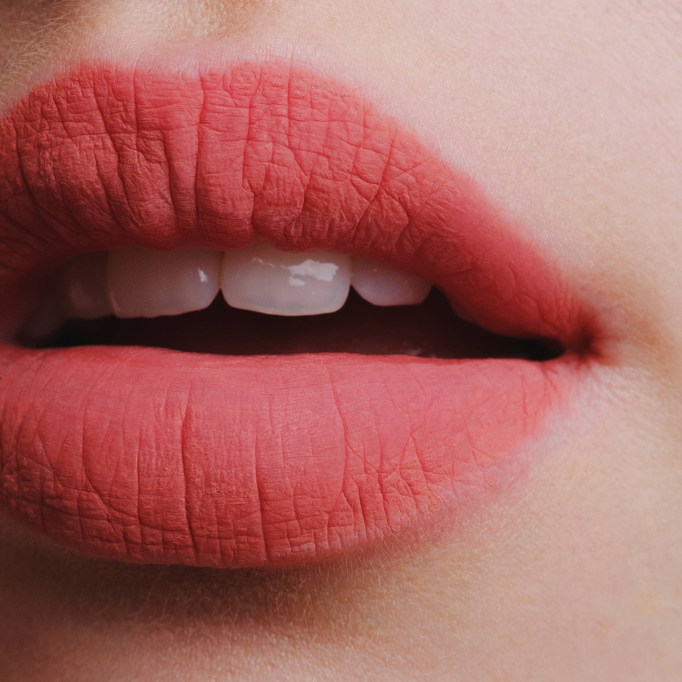 CLE Cosmetics – wholesale Läppfärg – Melting Lip Powder – Läppstift och pigment8