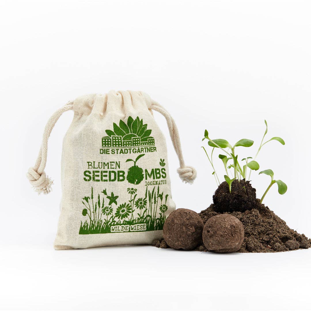 TDJ Stadtgärtner GmbH - Wholesale Plant Seeds - Seed Bombs - Wild Meadow1