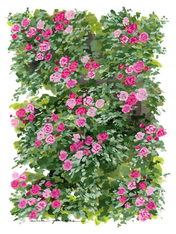 Hola Amante - Impresión de Bellas Artes para venta al por mayor de Annie Parkes