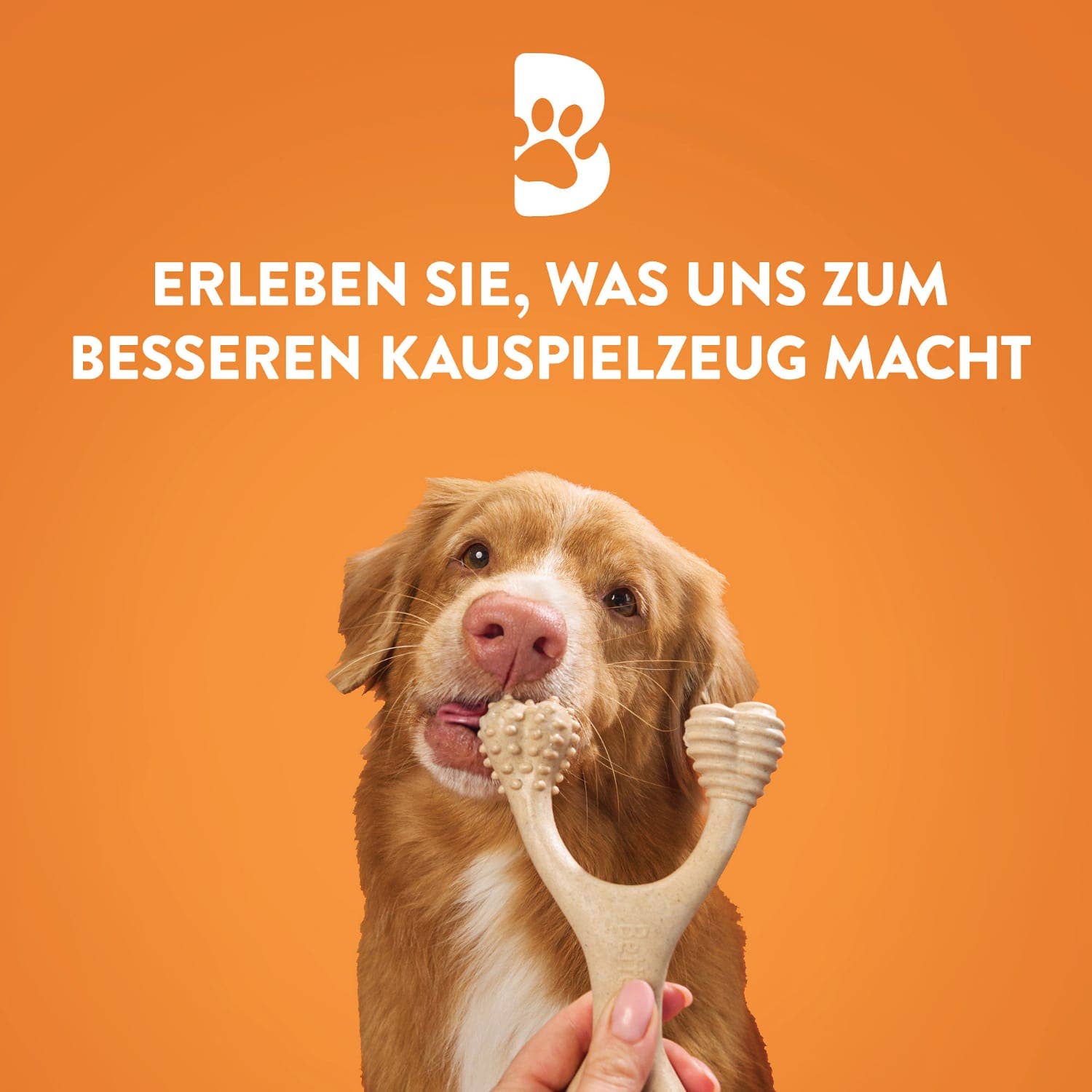 BetterBone – Großhandel Haustier-Kauspielzeug – Hund – DACH - Single: BetterBone / Small / Hard / Beef (SHB)2