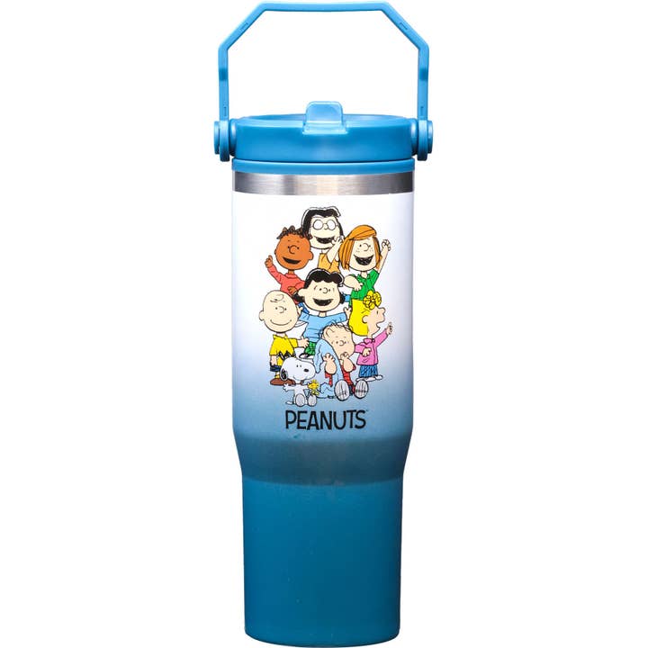 Peanuts Group 30oz Stainless Steel Bottle for wholesale by Spoontiques, Inc