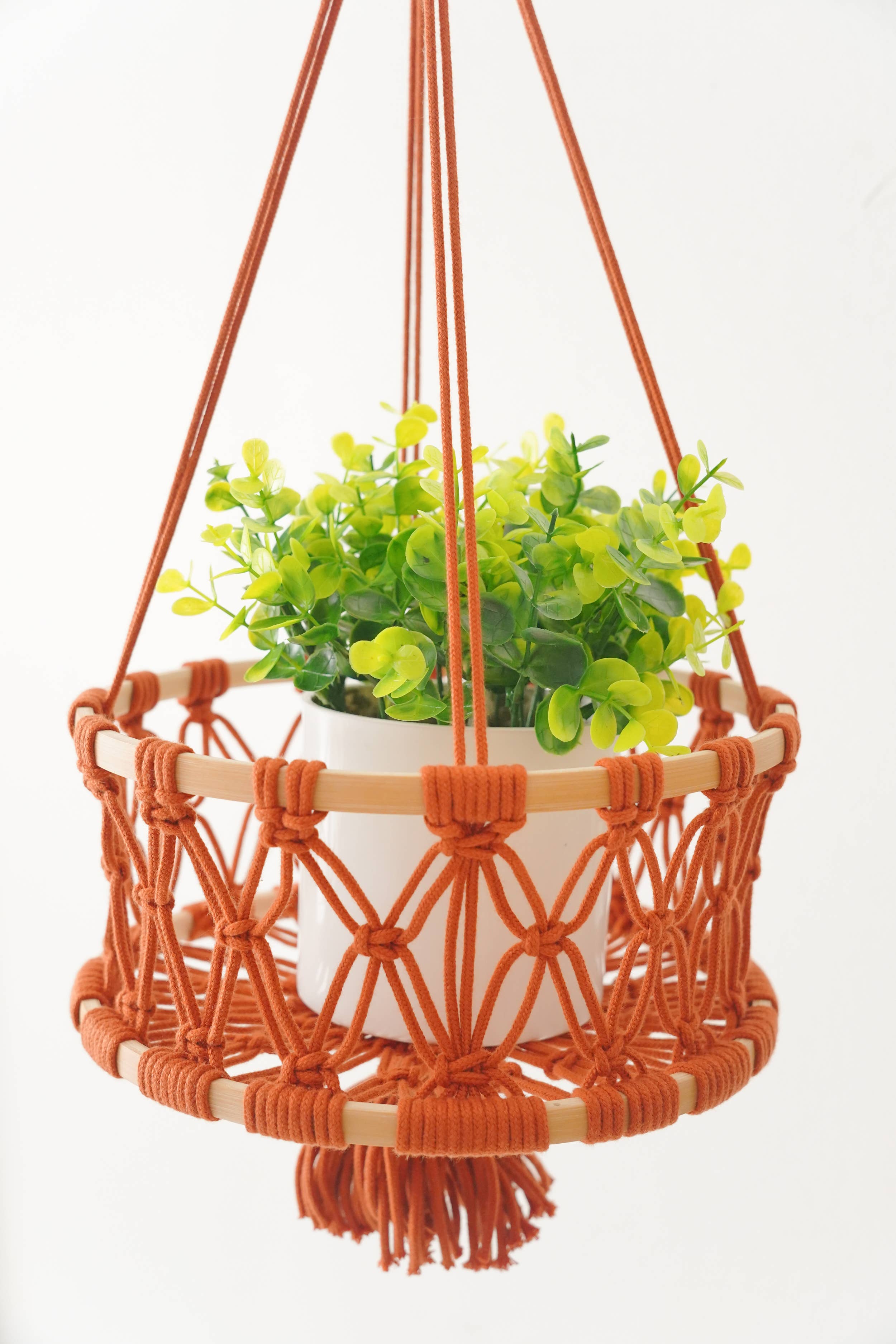 BeanDaikon - Vente Jardinière suspendue - Corbeille à fruits suspendue H966