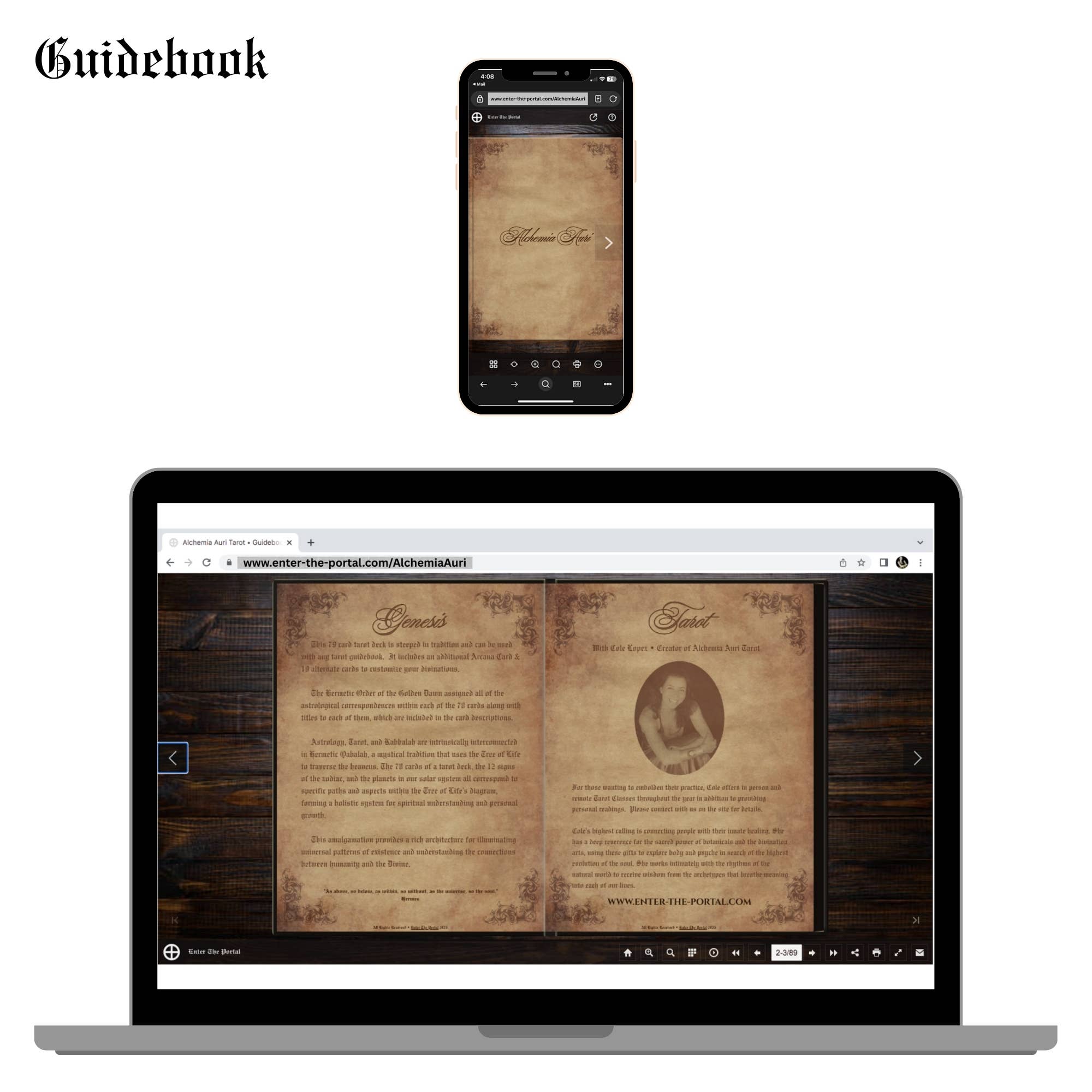 ENTER THE PORTAL - Wholesale Tarot/Oracle Card - Alchemia Auri Tarot  | Fine Art • Alchemy Tarot Card Deck1