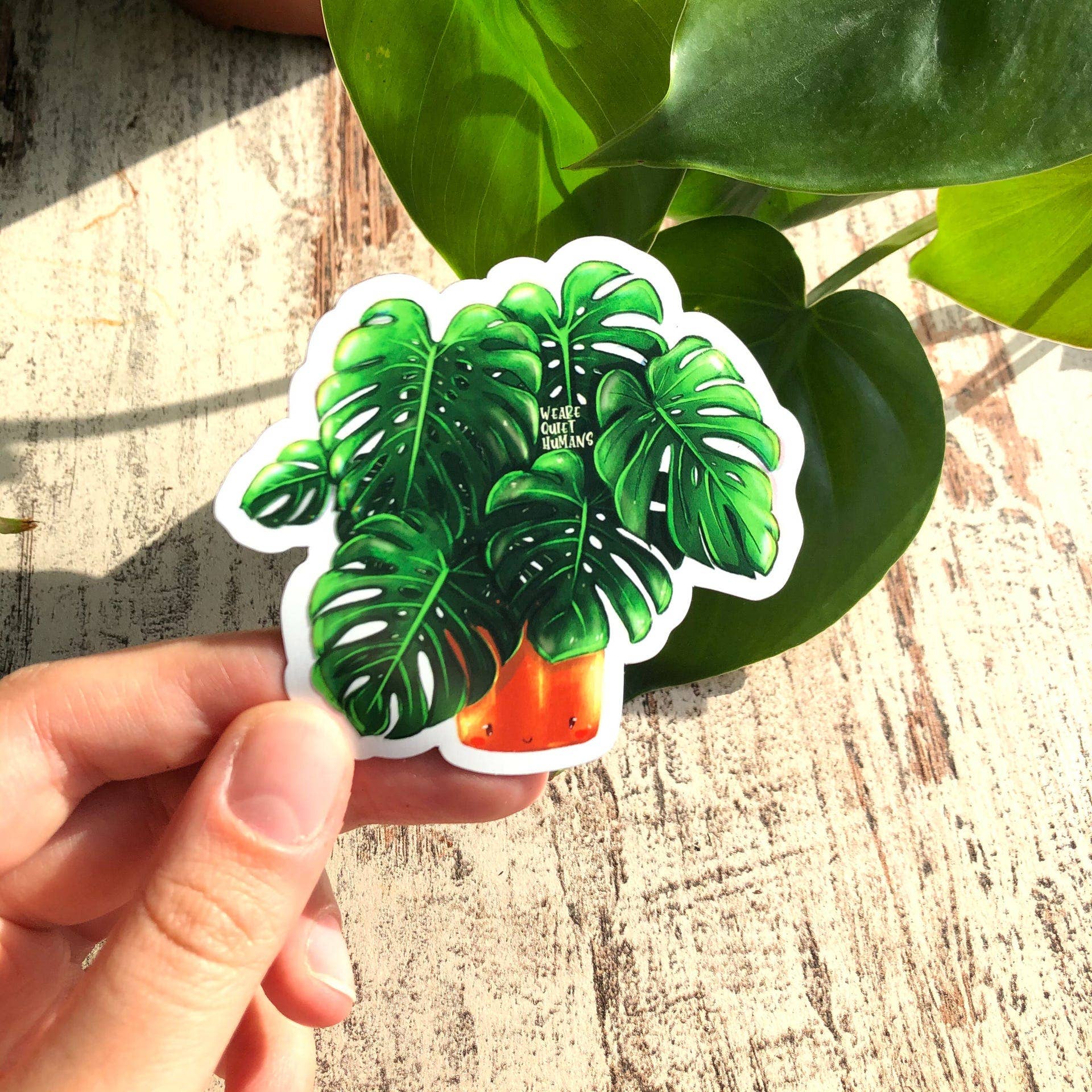 plantyintroverts - Wholesale Magnet - Magnet - Monstera Deliciosa, Plantlover, Plants, Plantlady