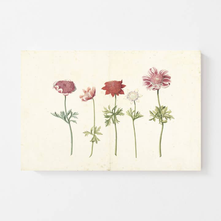 Pink Lemon Decor - Wholesale Art Print - Spring Blooms Print0