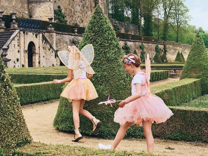 Speedy Monkey - Vente Déguisement – enfant - Ailes Gracia - Accessoire de Costume pour Enfants - Utilisation de Carnaval et Festive1