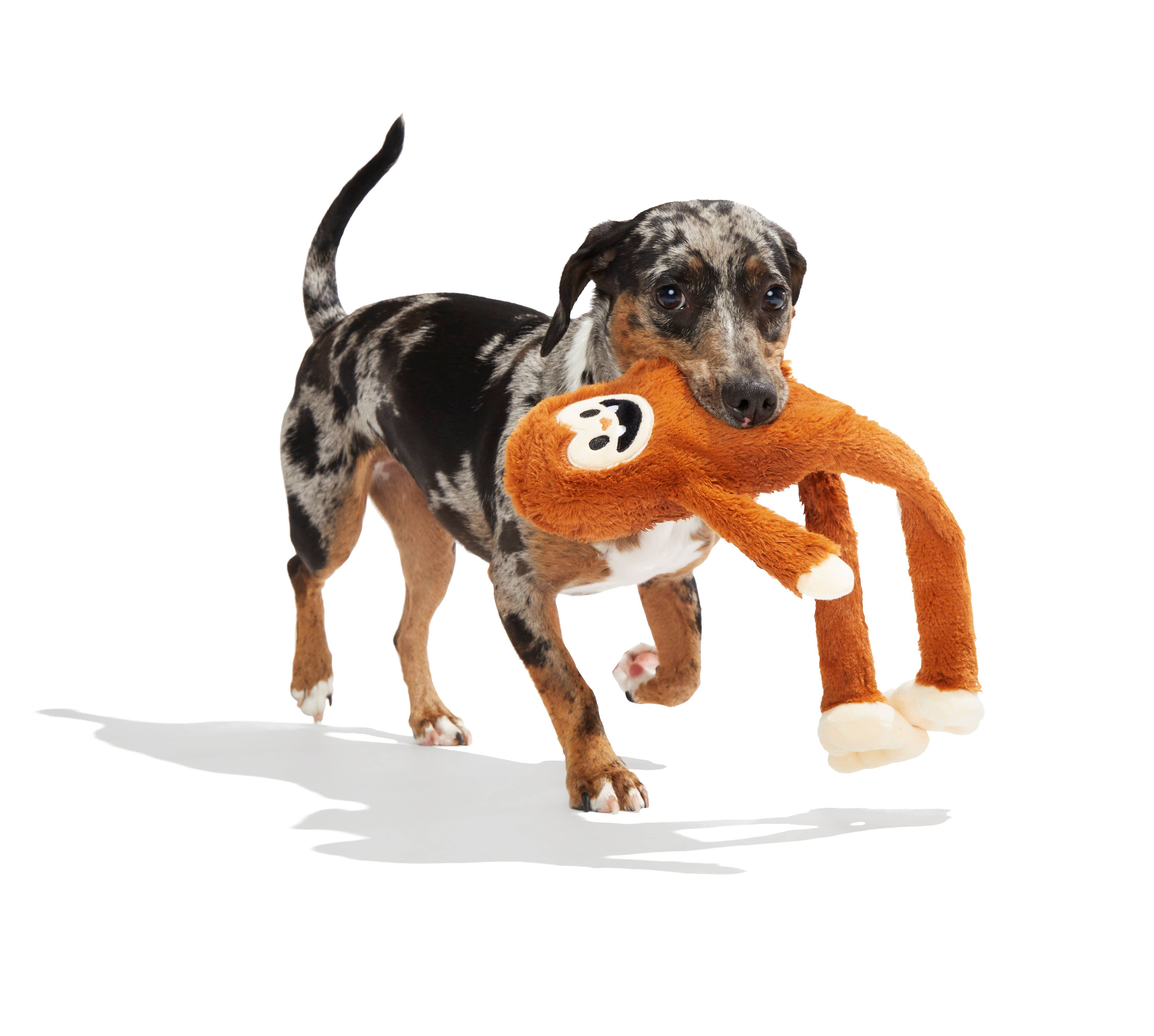 Pet Palette Distribution - Wholesale Pet Plush Toy - Dog - BARK Sasquatch Josh Plush Dog Toy3