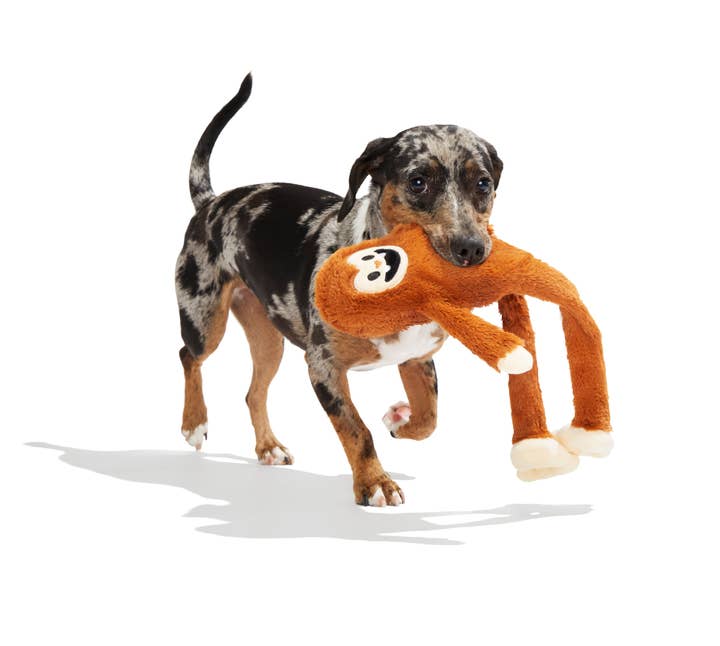 Pet Palette Distribution - Wholesale Pet Plush Toy - Dog - BARK Sasquatch Josh Plush Dog Toy3