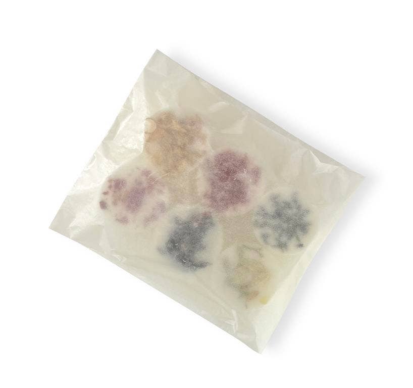 Heaven Scent Incense Ltd - Wholesale Wax Melt - 20g Botanical Wax Melt Pucks PICK & MIX Summer Starter Pack 7