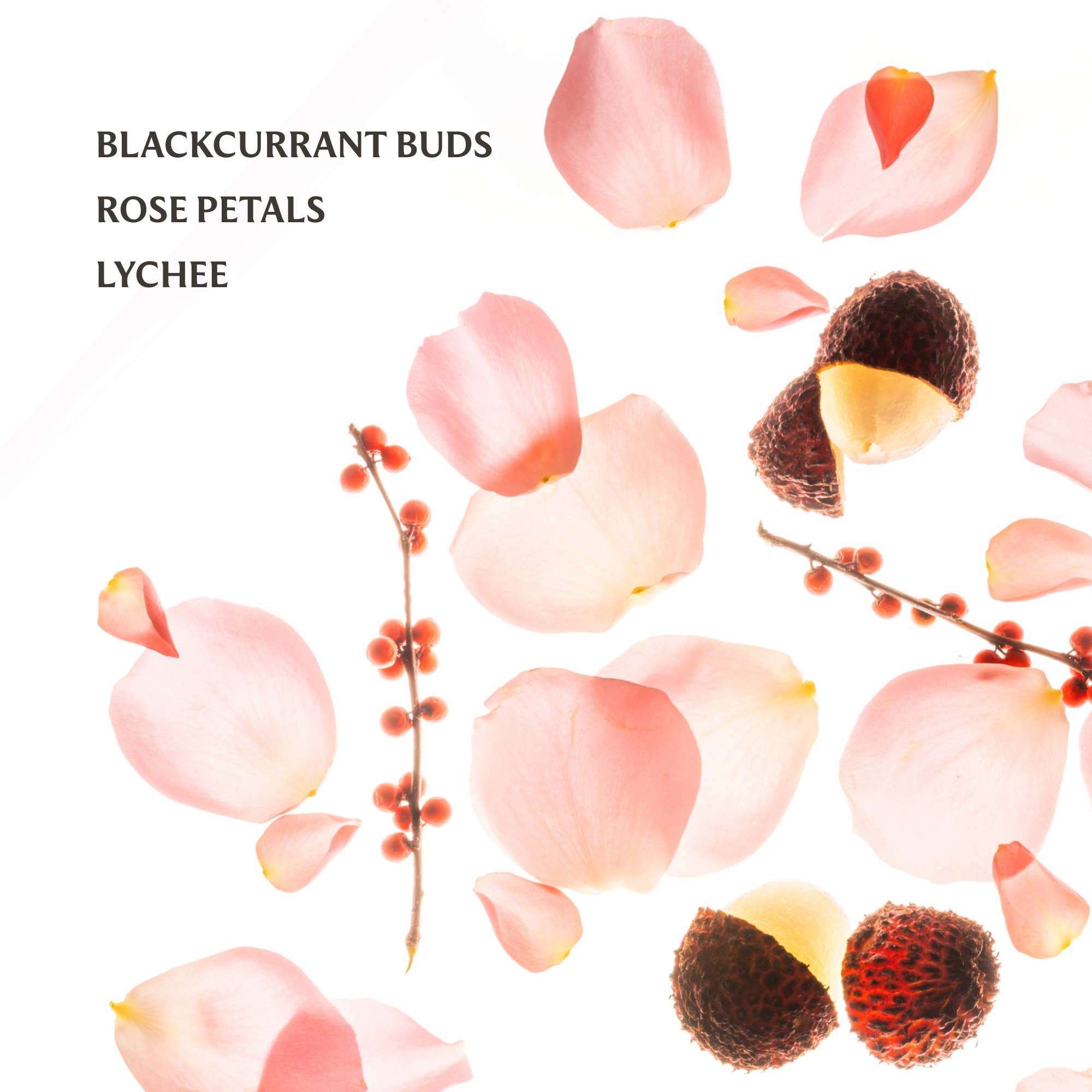 Touchland - Wholesale Hand Sanitizer - Rosewater Glow Mist Revitalizing Hand Sanitizer1