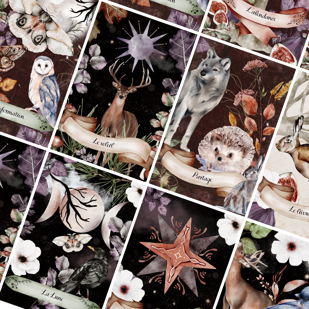 Les Moonettes – wholesale Tarot cards – Oracle of the Moon Animals (20 Cards)5