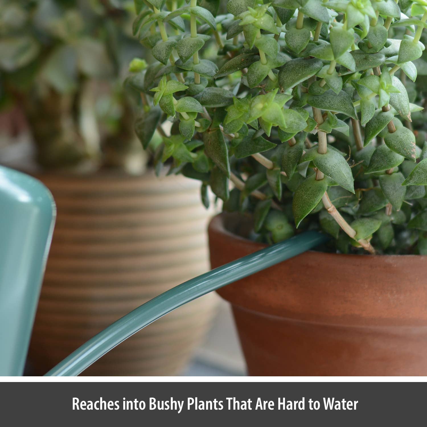 Wholesale Gifts Tomorrow - Vendita all'ingrosso Annaffiatoi - Annaffiatoio da Interni (Verde Scuro) (1,1 litri) Acciaio Rivestito5