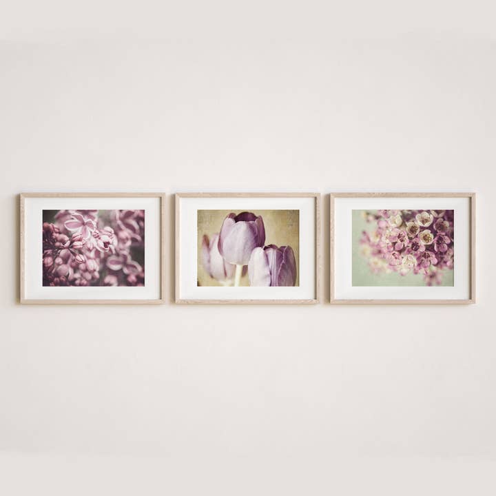 Pink & Purple Florals II | Art Prints Set of 3 for wholesale by Lisa Russo Fine Art