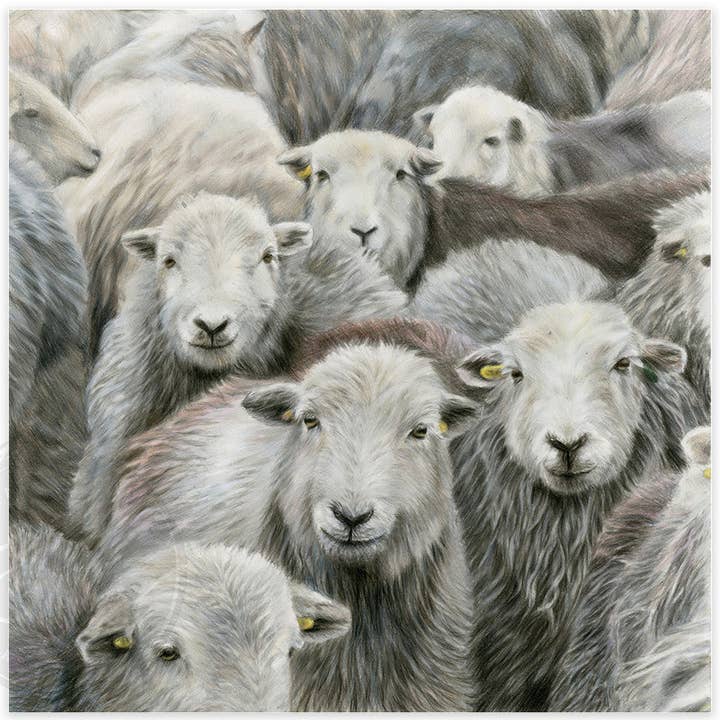 The Gathering for wholesale by Stacey Moore Ltd