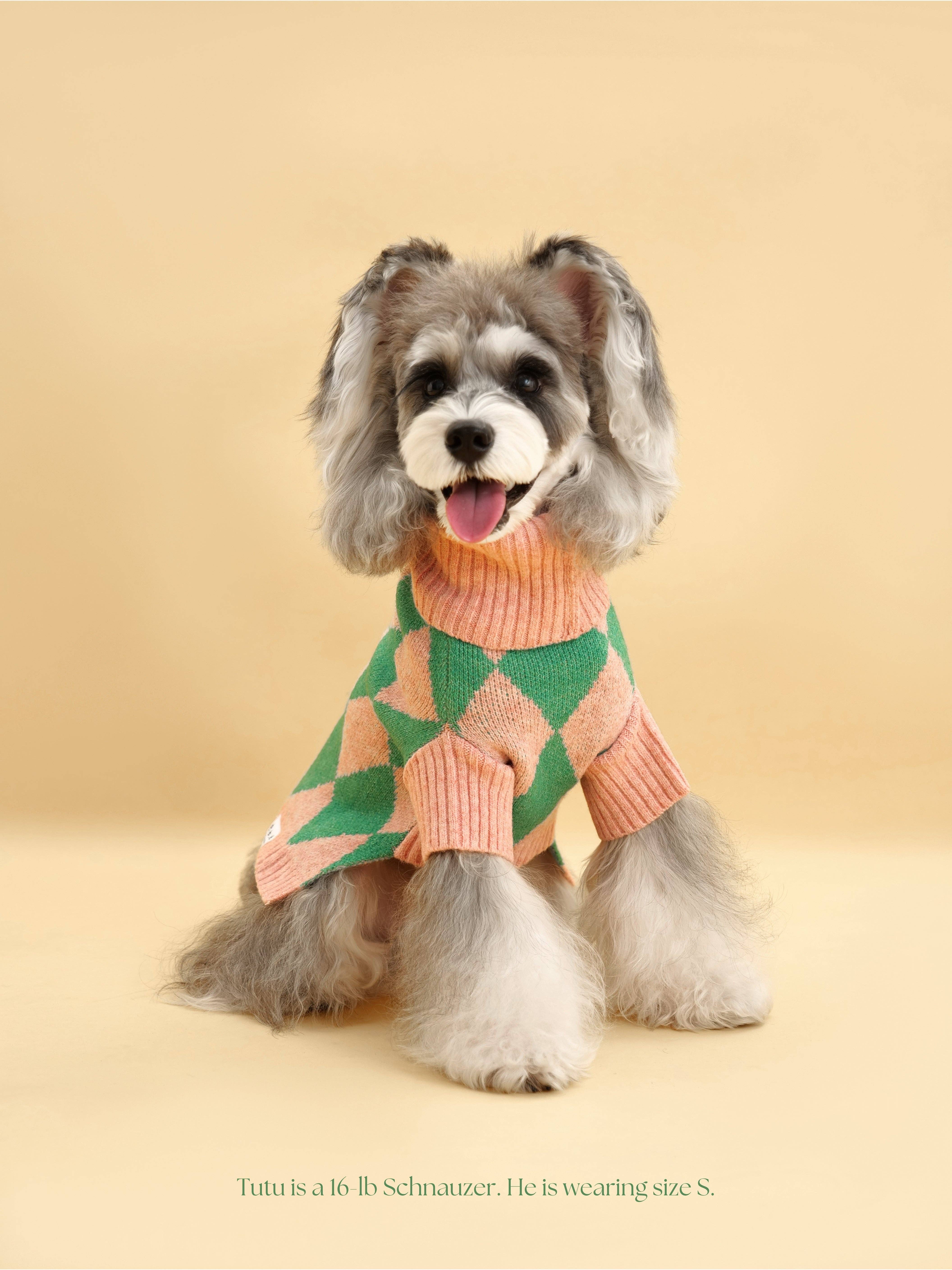 BarkBarkBaby - Wholesale Pet Sweater - Dog - Sunday Brunch in Brooklyn Sweater4