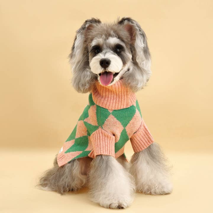 BarkBarkBaby - Vendita all'ingrosso Maglione - Cani - Maglione Sunday Brunch in Brooklyn4