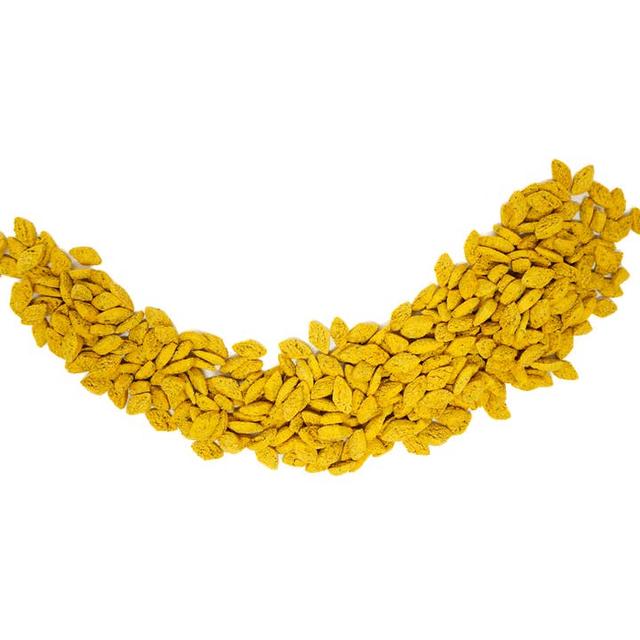 No Furries Delights - Wholesale Pet Supplement - Not Cat/Dog - Pumpkin Cilantro Bites (50g | 1.76oz)2