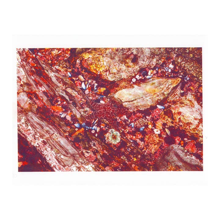 Kingtide, #7 | Risografi for engroshandel hos bylindseykusterman