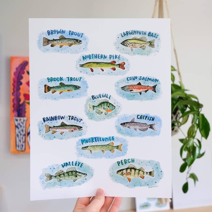 Freshwater Fish of Michigan Watercolor Print for wholesale by Echo Foxx