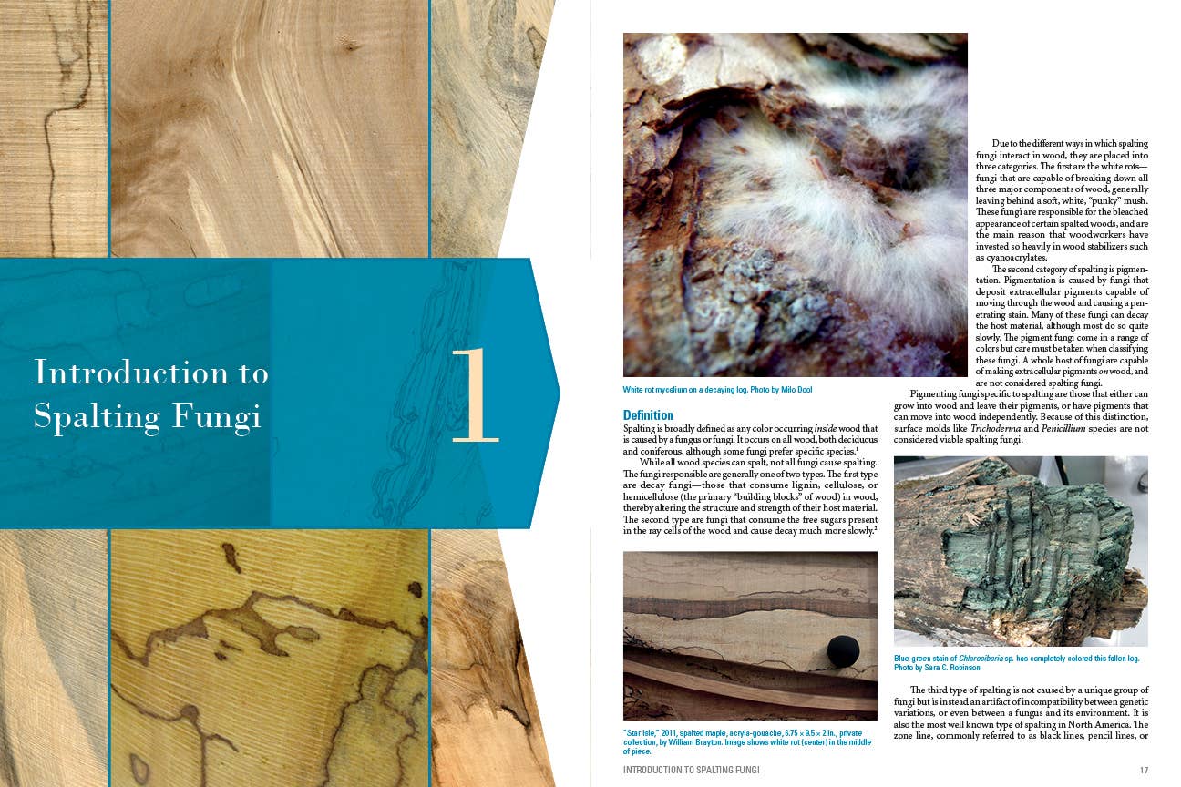 Schiffer Publishing - Wholesale Crafts, Hobbies & DIY - Spalted Wood4