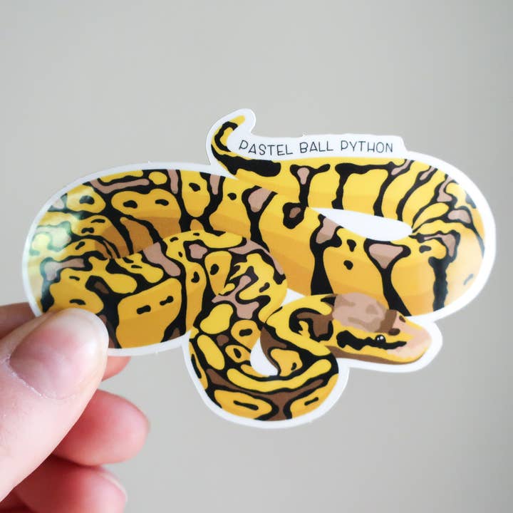 Adesivo in vinile impermeabile con serpente pitone palla pastello | Rettile per la vendita all'ingrosso da parte di Beehive 95 Designs