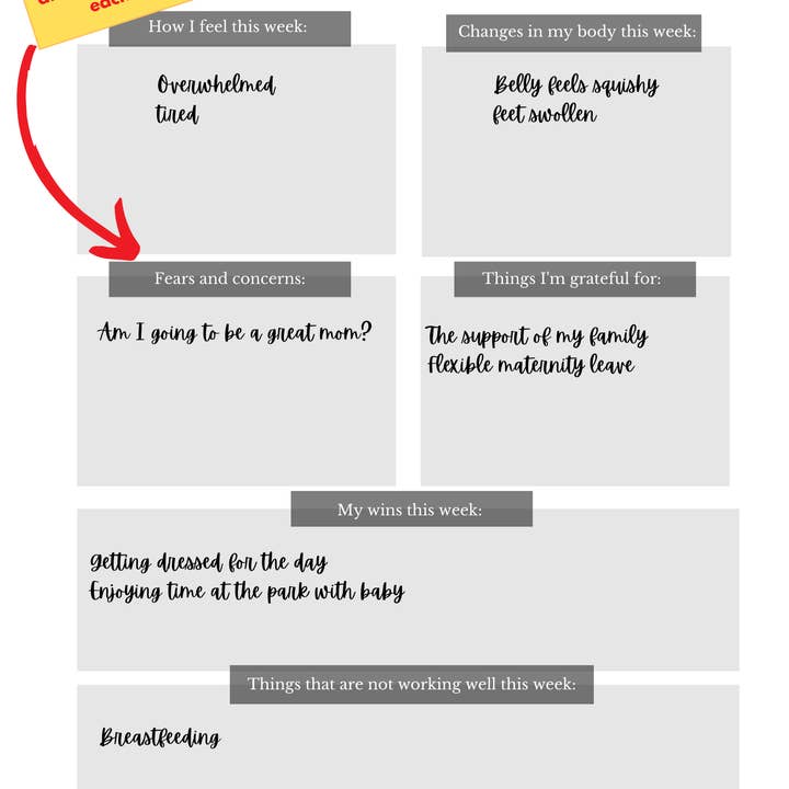 Think Like A Mom - Wholesale Planner - White Label/ Private Label Postpartum Planner8