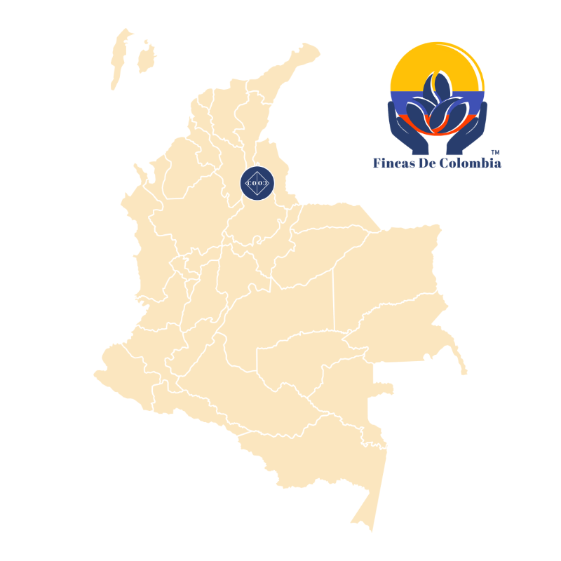Colco Coffee - Venta al por mayor Café en grano - Don Jose - Smooth Colombian Specialty Coffee5