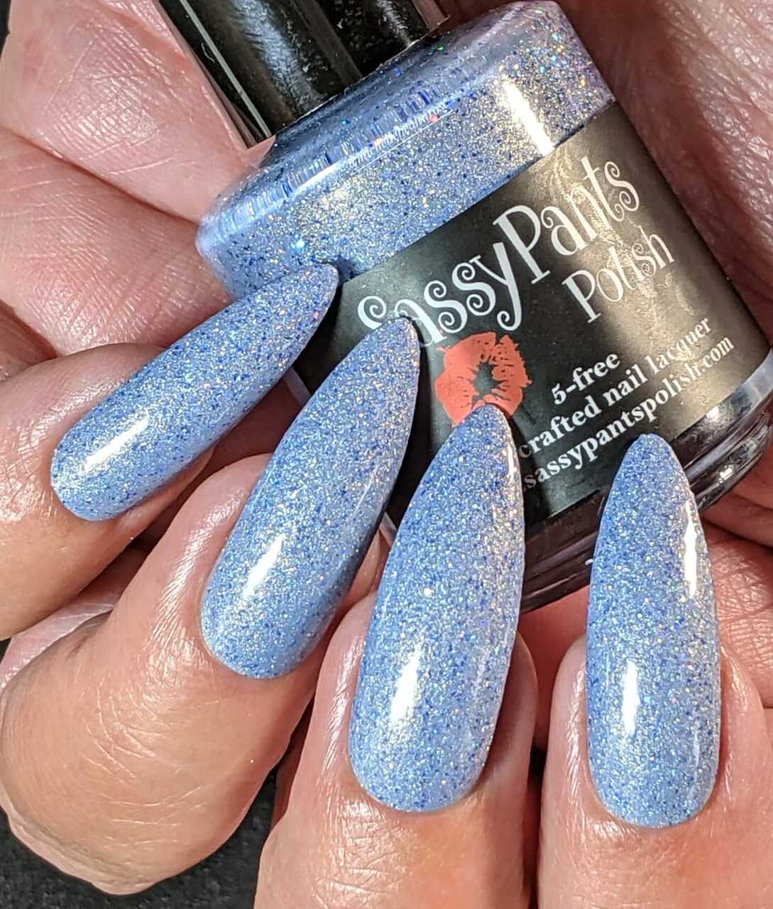 Sassy Pants Polish - Wholesale Nail Polish - Delphinium Delight10