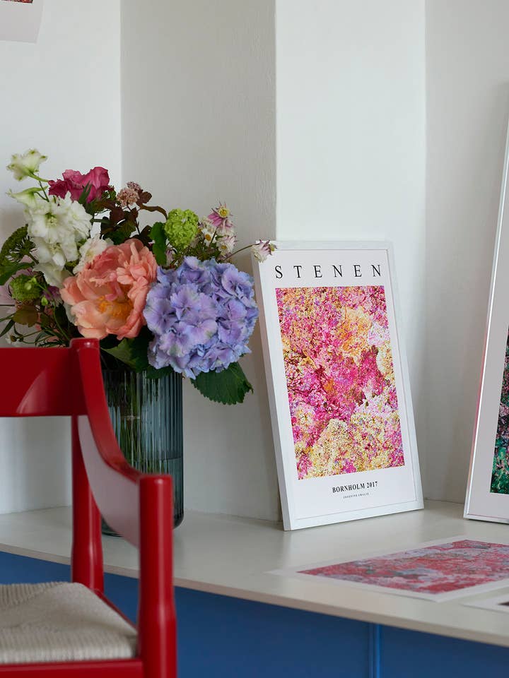 Stenen - Rosa för wholesale av Posters by Josefine Amalie