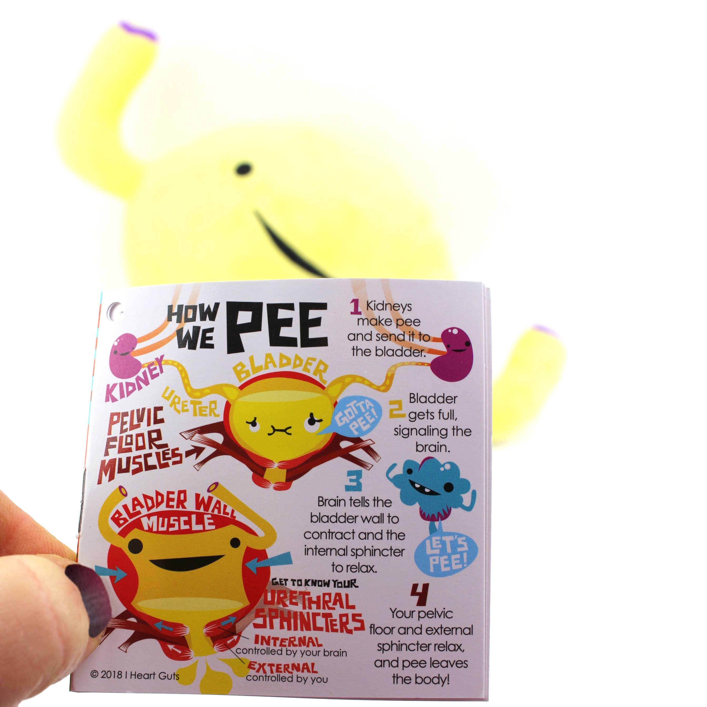 I Heart Guts | Organ Plushies Wholesale - Wholesale Stuffed/Plush Toy - Kids & Baby - Bladder Plush - Don't Stop Relievin'5