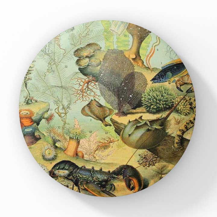 Ocean Reef Pin Button, Ocean Keychain, Ocean Magnet for wholesale by NatureCuts