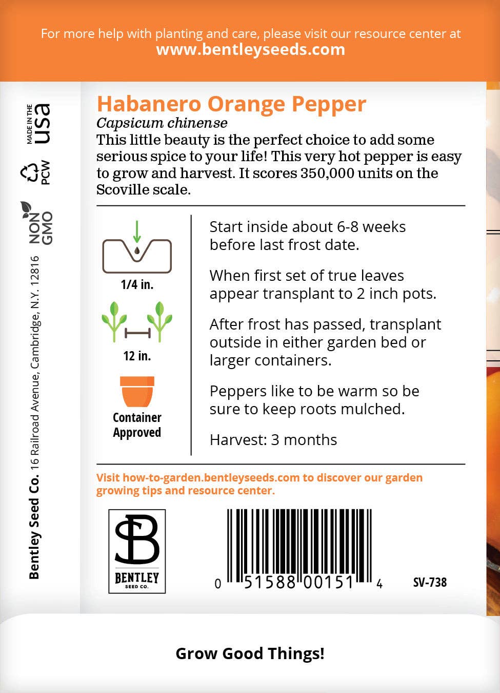 Bentley Seed Co. - Wholesale Plant Seeds - Pepper, Habanero Orange Seed Packets1