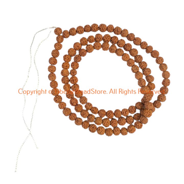 6mm Natural Rudraksha Seed Prayer Mala Beads - PB68 for wholesale by Tibetan Bead Store