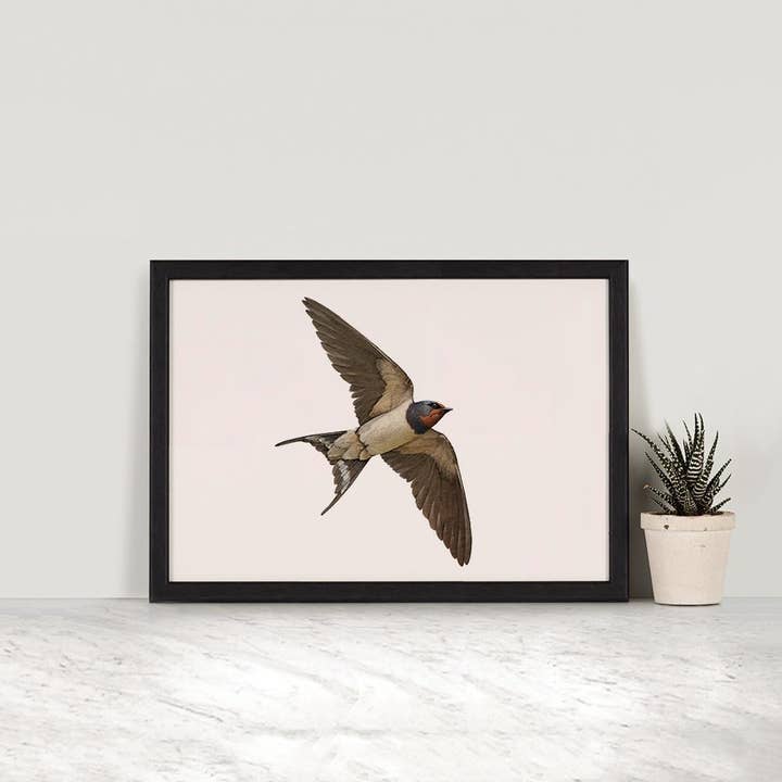 Hidden Planet - Wholesale Art Print - Swallow - A4 Print (landscape)1