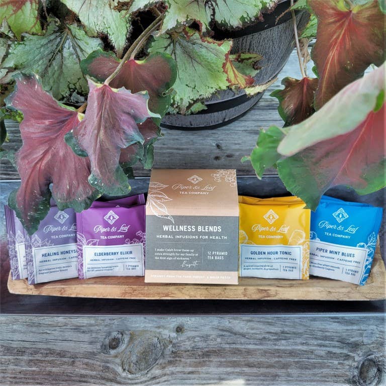 Piper & Leaf Artisan Tea Co - Vendita all'ingrosso Tisane salutari e depurative - Wellness Blends Variety Box2
