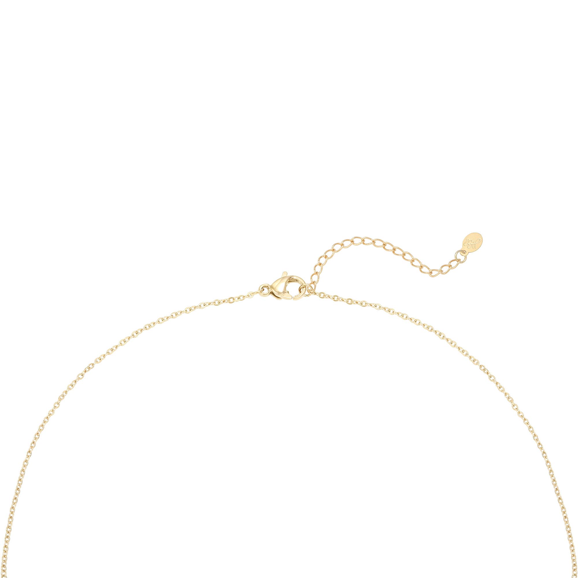 SHINE BUY – wholesale Hänge-/berlockhalsband – Halsband konfetti små2